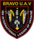 1st Battalion International Legion, Bravo II Company UAV Insignia - First Variant.png