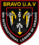 1st Battalion International Legion, Bravo II Company UAV Insignia - First Variant.png