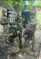 Бойцы вооружены автоматическим стрелковым оружием западного производства, а также переносным Гранатомётом.