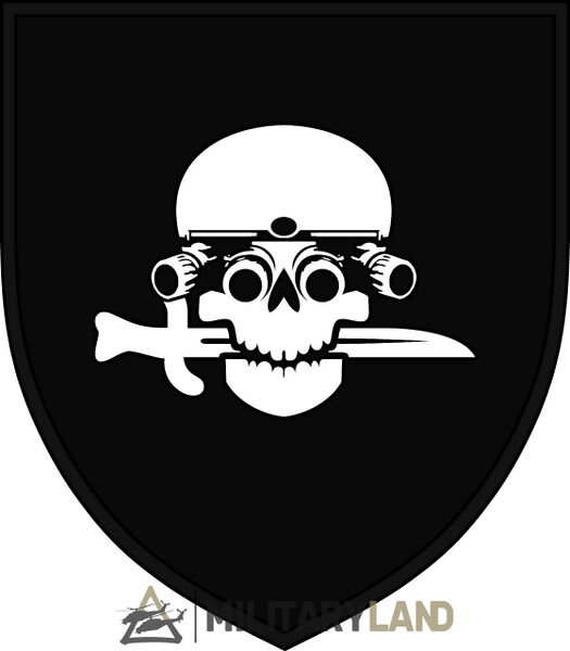 Файл:I Revanche 1st Assault Company-scaled.jpg