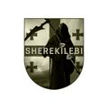 Другие варианты эмблемы подразделения "Шерекилеби" (შერეკილები, Sherekilebi) © https://t.me/georgia_man/2376?single
