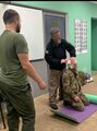 «Task Force Yankee» - провела тактическую медицинскую тренировку в Киеве